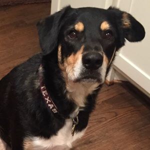 Meet your Posher, Jarrett